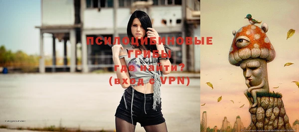 крисы Вяземский