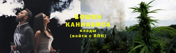 крисы Вяземский