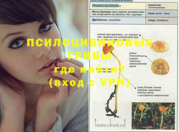 крисы Вяземский