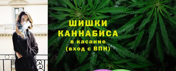 крисы Вяземский