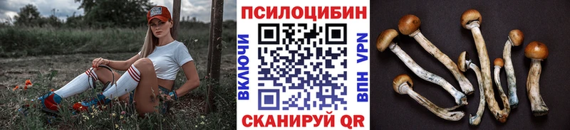 Псилоцибиновые грибы MAGIC MUSHROOMS  Купить закладки  Новочебоксарск 