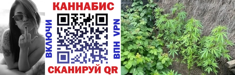 Купить где  Новочебоксарск  Канабис тримм 
